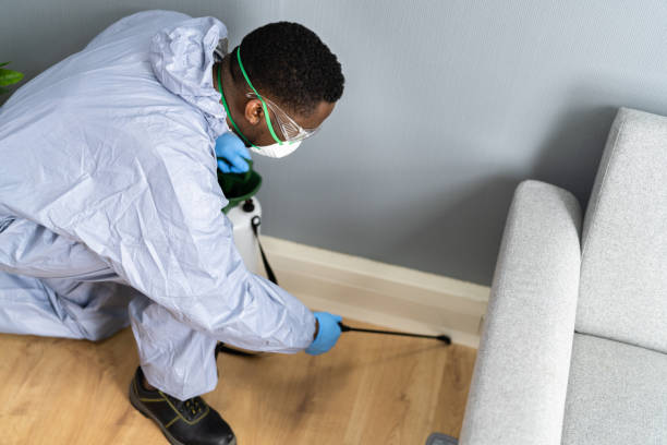 Best Residential Pest Control  in Medford, NY